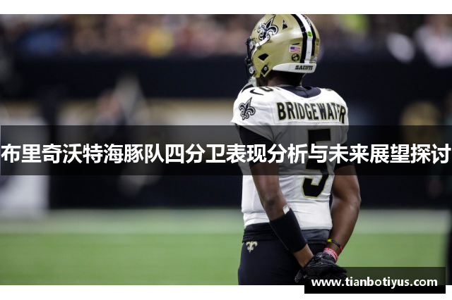 布里奇沃特海豚队四分卫表现分析与未来展望探讨