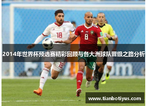 2014年世界杯预选赛精彩回顾与各大洲球队晋级之路分析