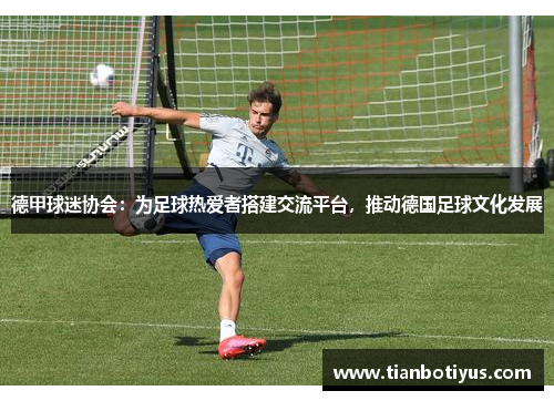 德甲球迷协会：为足球热爱者搭建交流平台，推动德国足球文化发展