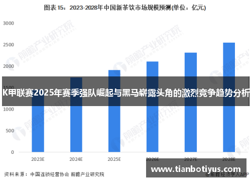 K甲联赛2025年赛季强队崛起与黑马崭露头角的激烈竞争趋势分析