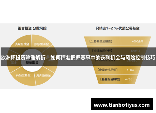 欧洲杯投资策略解析：如何精准把握赛事中的获利机会与风险控制技巧