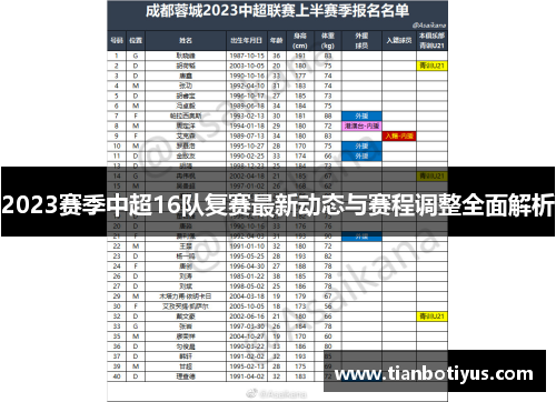 2023赛季中超16队复赛最新动态与赛程调整全面解析