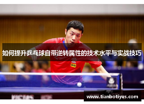 如何提升乒乓球自带逆转属性的技术水平与实战技巧