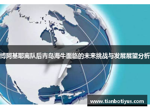 博阿基耶离队后青岛海牛面临的未来挑战与发展展望分析