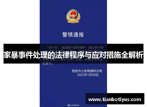 家暴事件处理的法律程序与应对措施全解析