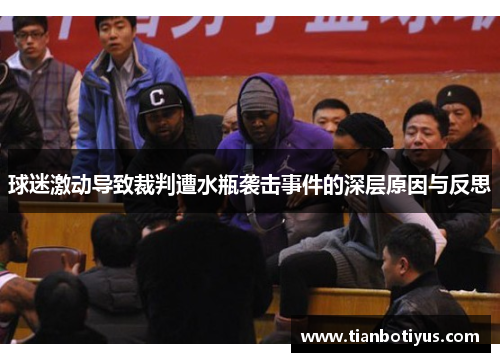 球迷激动导致裁判遭水瓶袭击事件的深层原因与反思