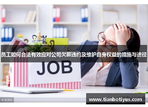 员工如何合法有效应对公司欠薪违约及维护自身权益的措施与途径