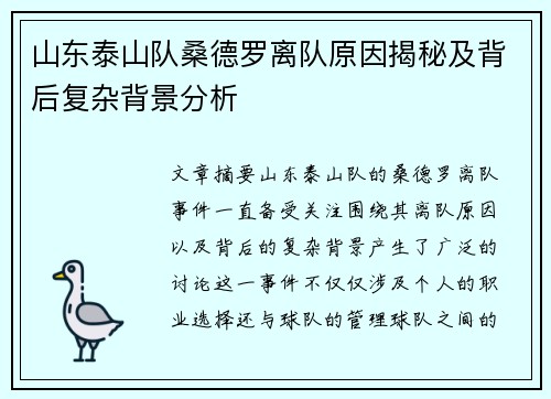 山东泰山队桑德罗离队原因揭秘及背后复杂背景分析