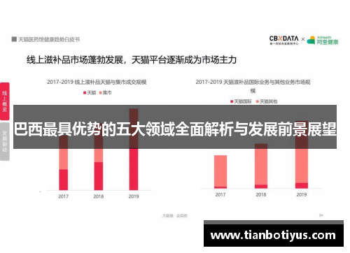 巴西最具优势的五大领域全面解析与发展前景展望