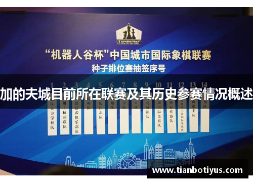 加的夫城目前所在联赛及其历史参赛情况概述 加的夫城目前所在联赛及其历史参赛情况概述